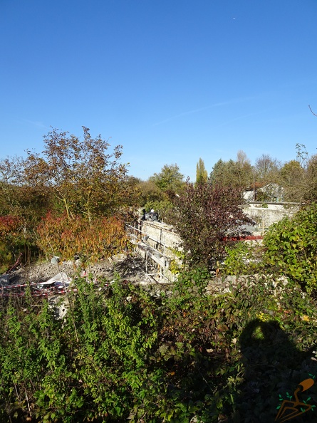 DSC03146.JPG