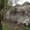 DSC03312_180