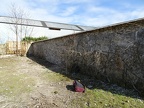 DSC03949