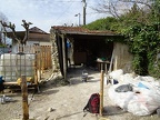 DSC03959