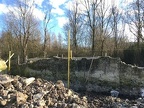 IMG 0647