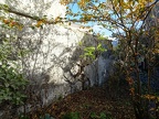 2021-11-01 rue Alexis Lepère