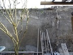 DSC03170