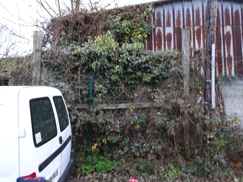 DSC03225.JPG