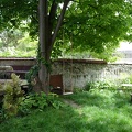DSC03346