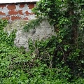 DSC03573