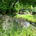 DSC03617