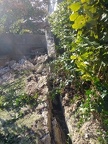 IMG 20211111 113557981