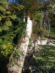 IMG 20211111 113630564