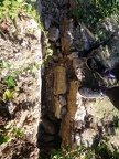 IMG 20211111 113717795
