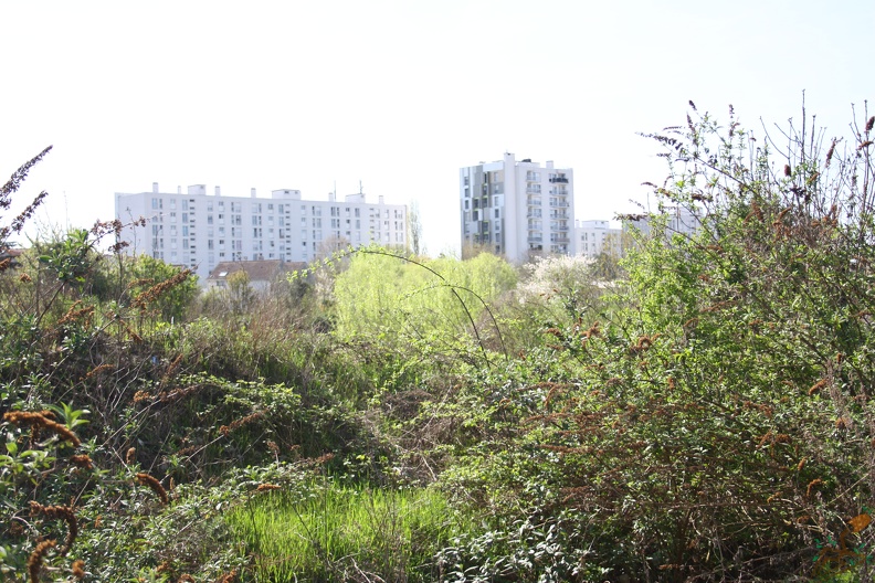 Jardin des couleurs