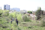 Jardin des couleurs