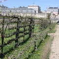 Potager du Roi - Versailles