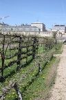 Potager du Roi - Versailles