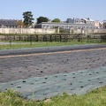 Potager du Roi - Versailles