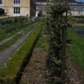 Potager du Roi - Versailles