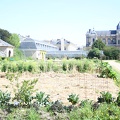 Potager du Roi - Versailles