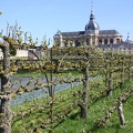 Potager du Roi - Versailles