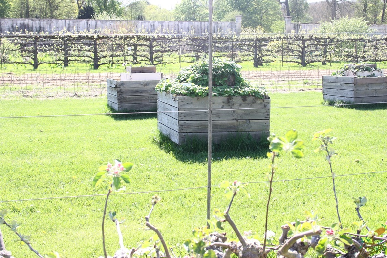 Potager du Roi - Versailles