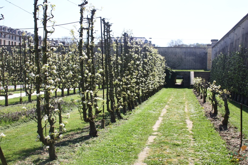 Potager du Roi - Versailles