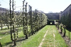 Potager du Roi - Versailles