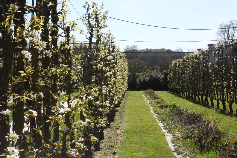 Potager du Roi - Versailles