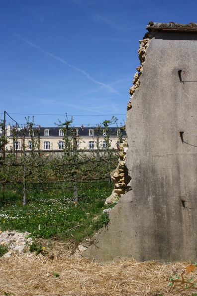 Potager du Roi - Versailles