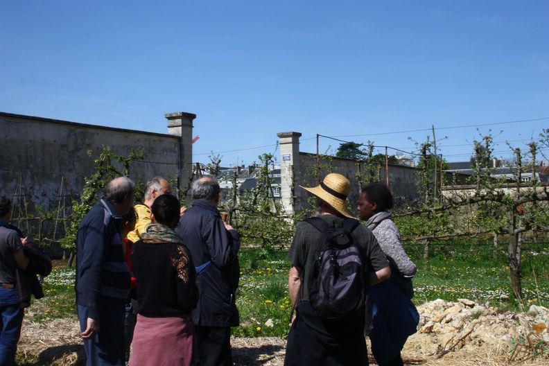 Potager du Roi - Versailles