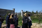 Potager du Roi - Versailles