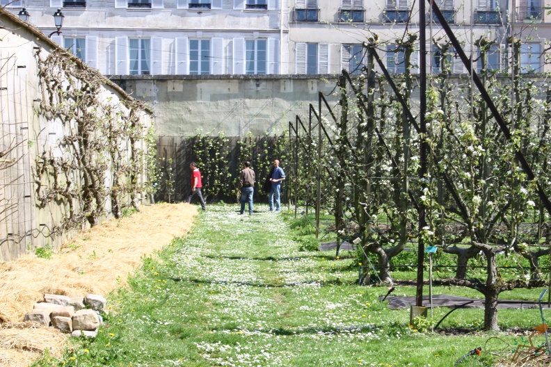 Potager du Roi - Versailles