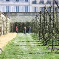 Potager du Roi - Versailles