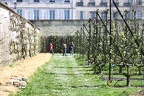 Potager du Roi - Versailles