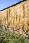 Potager du Roi - Versailles