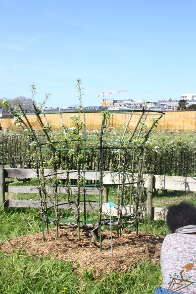 Potager du Roi - Versailles