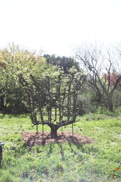 Potager du Roi - Versailles