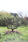 Potager du Roi - Versailles