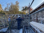 IMG 7554